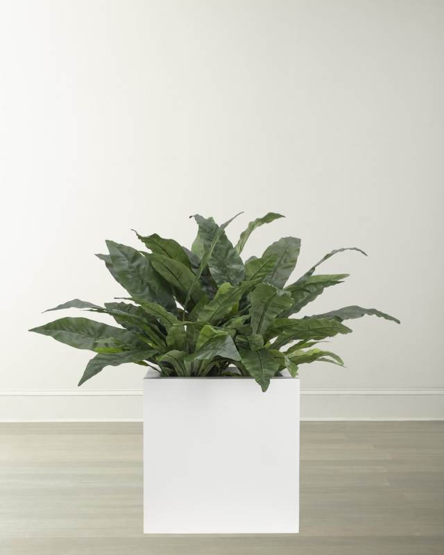 Faux Bird Nest Fern Plant in White Ceramic Planter
