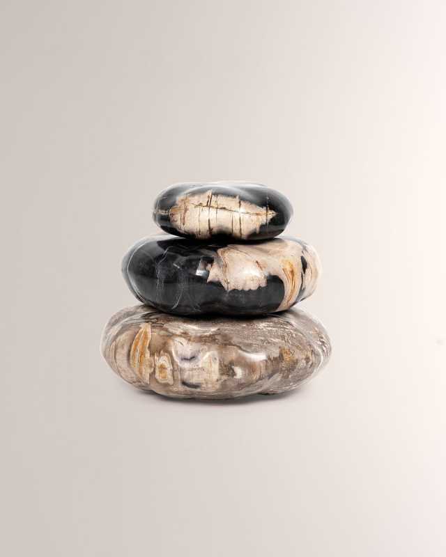 Petrified Wood Organic Sculpture
