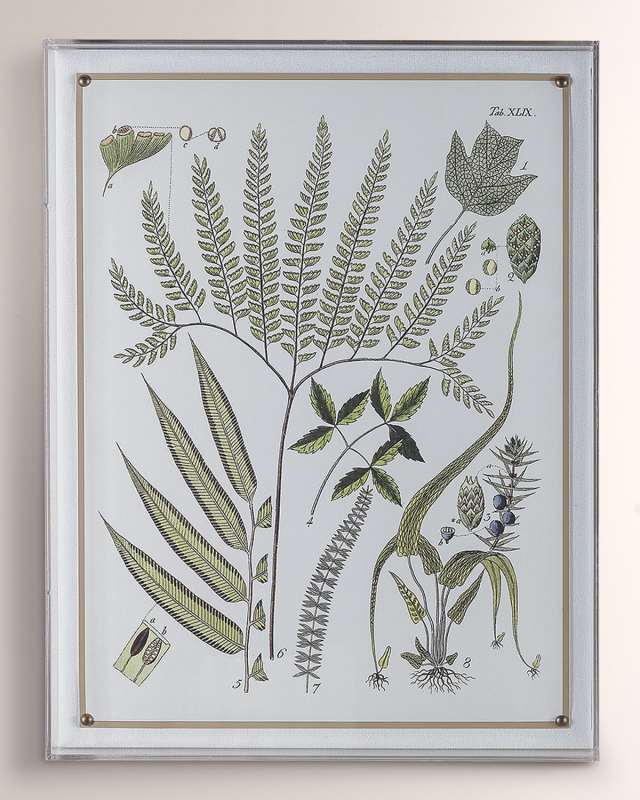 "Ferns III" Giclee