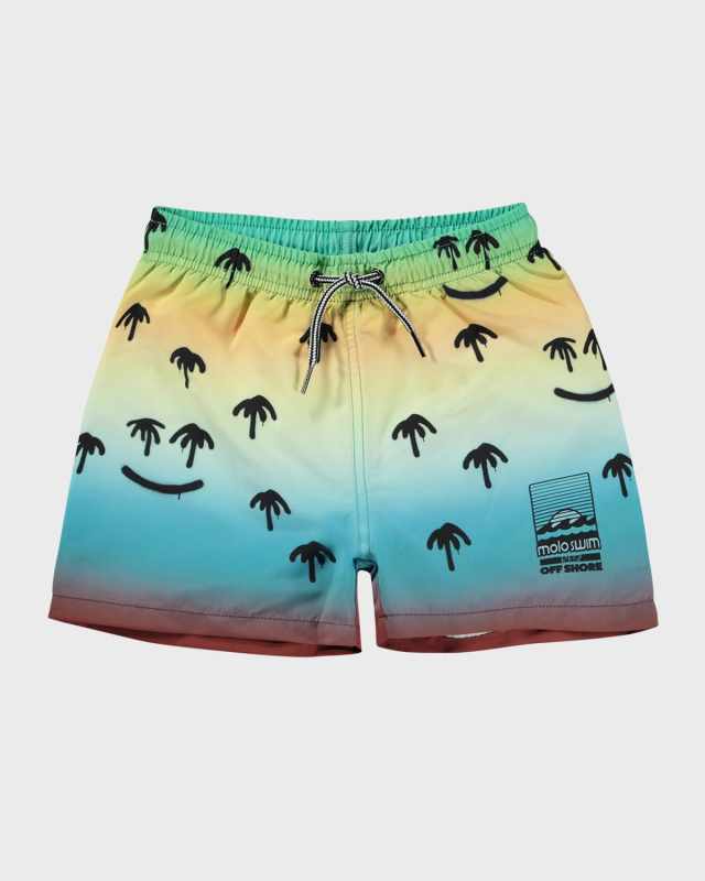 Boy's Niko Swim Trunks, Size 3T