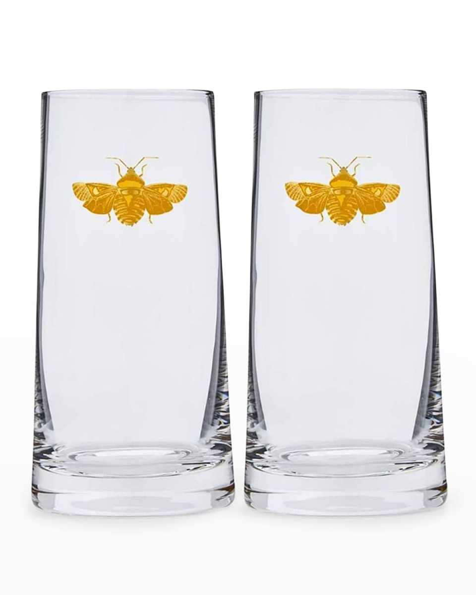 Creatures of Curiosity Highball Glasses, Set of 2