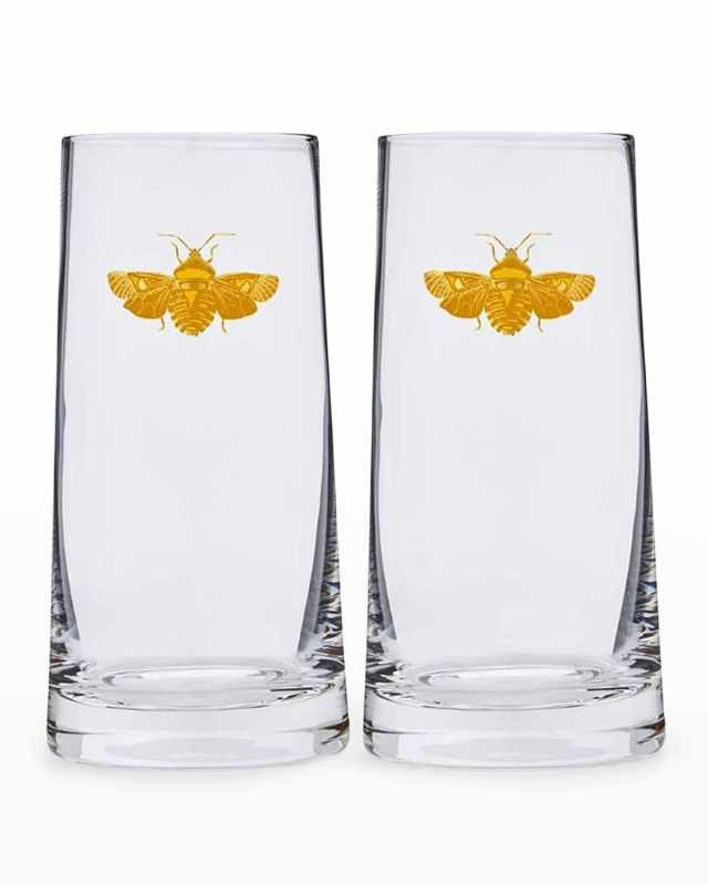 Creatures of Curiosity Highball Glasses, Set of 2