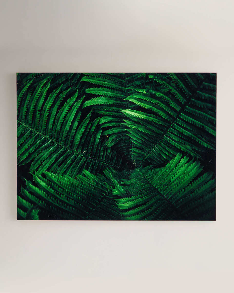 "Tropical Plant" Photography Print on Maple Box Framed Wall Art