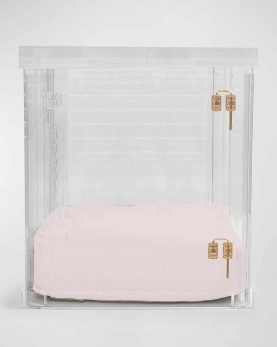 Large Clear View Pet Crate with Gold Latch