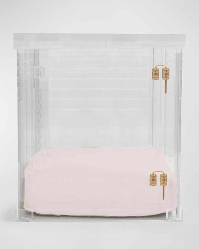 Large Clear View Pet Crate with Gold Latch
