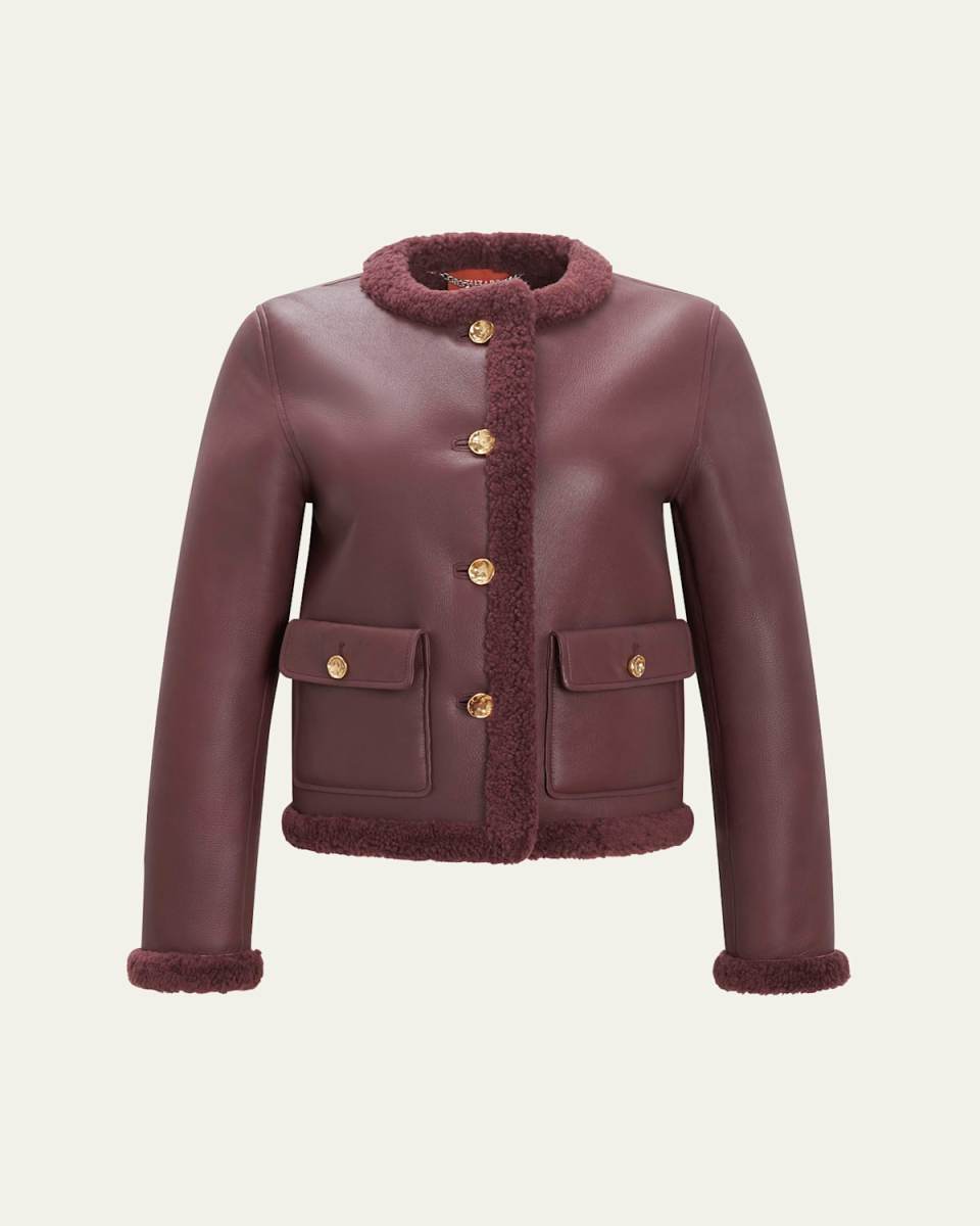 Zed Leather Shearling Coat