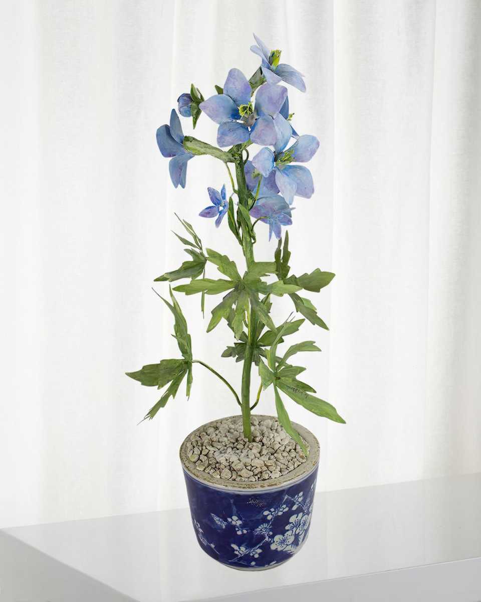 Delphinium July Birth Flower in Ceramic Pot