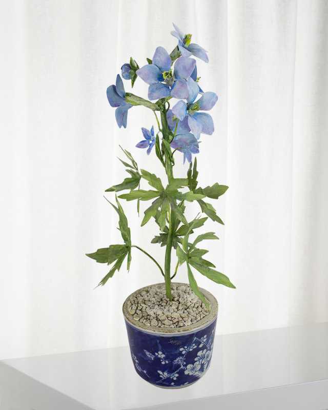 Delphinium July Birth Flower in Ceramic Pot
