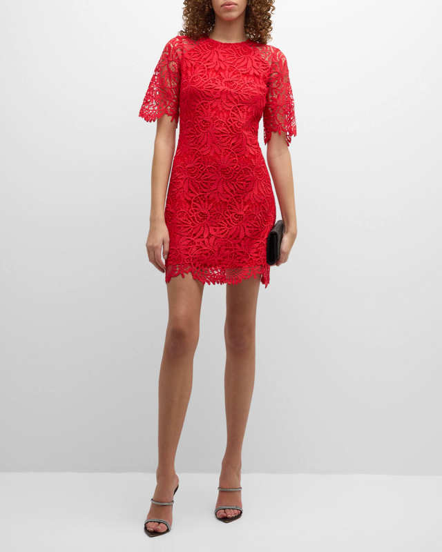 Taryn Elbow-Sleeve A-Line Lace Mini Dress