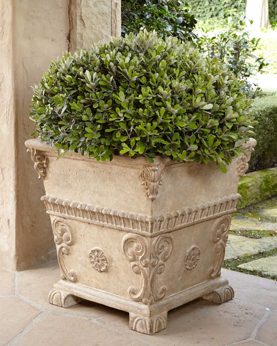 Oversized Planter
