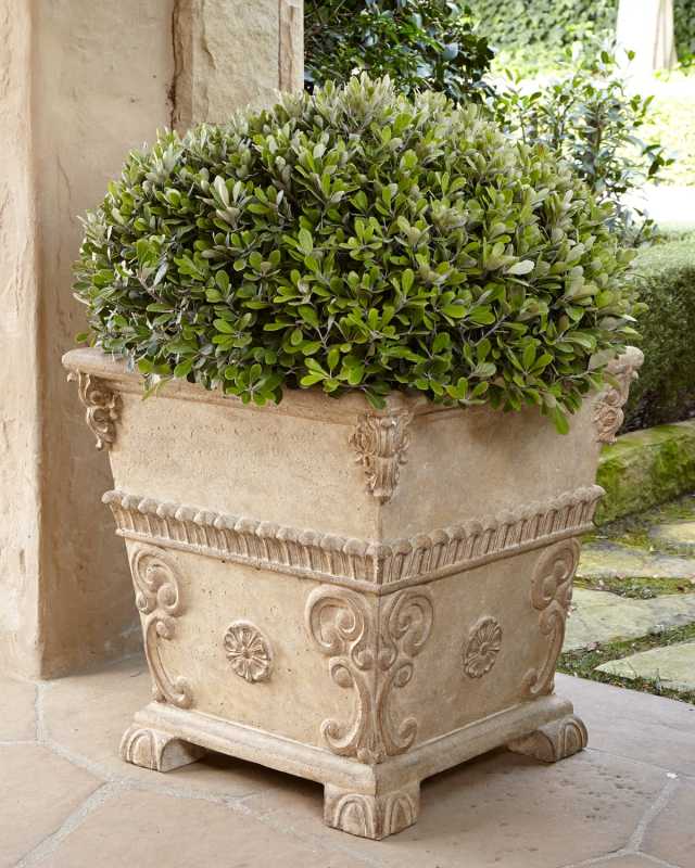 Oversized Planter