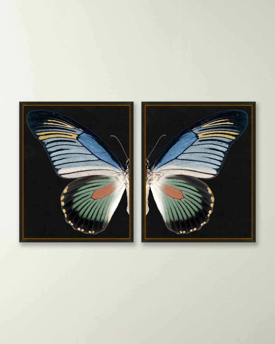 "Gilded Wings 2" Giclees, Set of 2