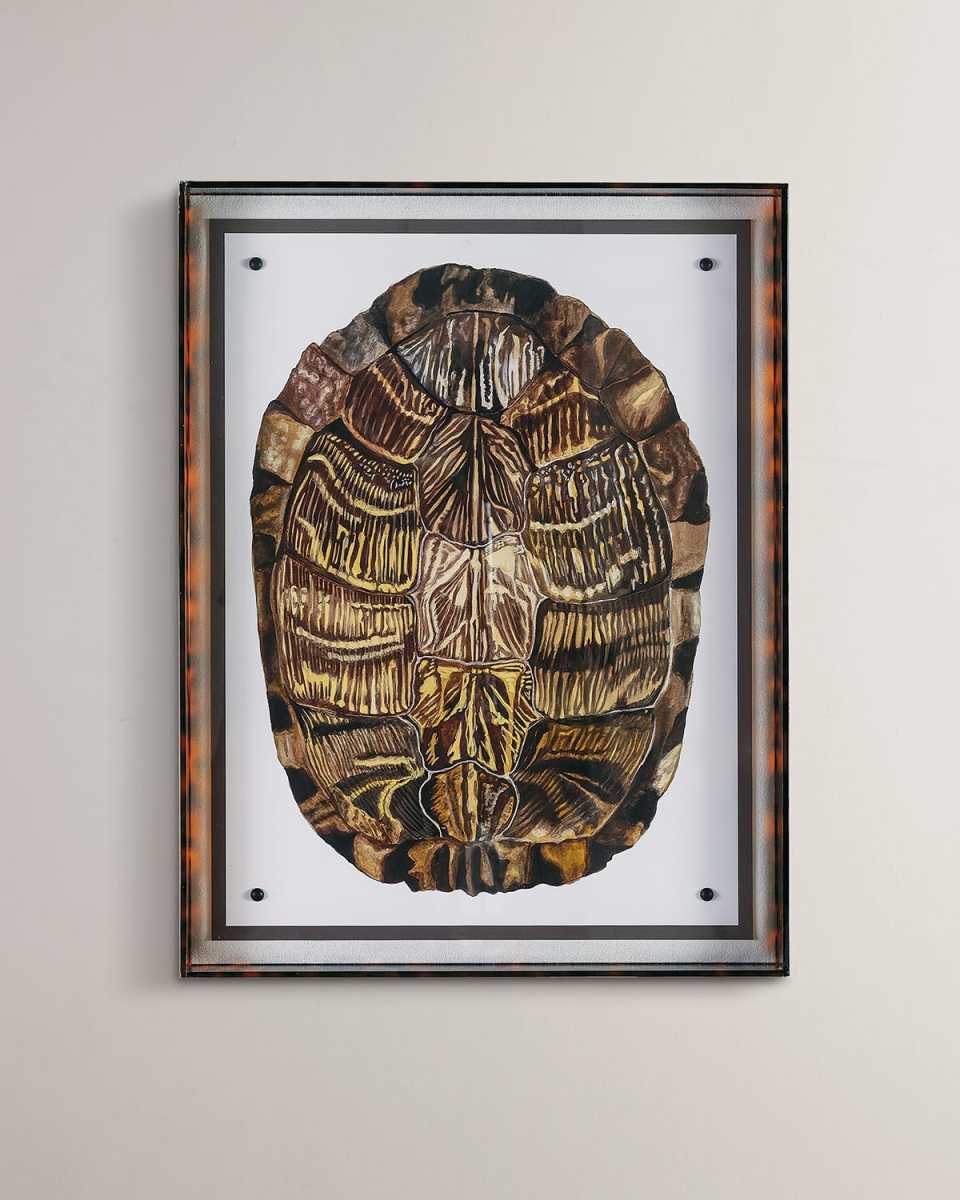 "Tortoise I" Giclee