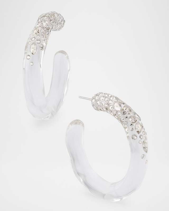Confetti Crystal Lucite Hoop Earrings