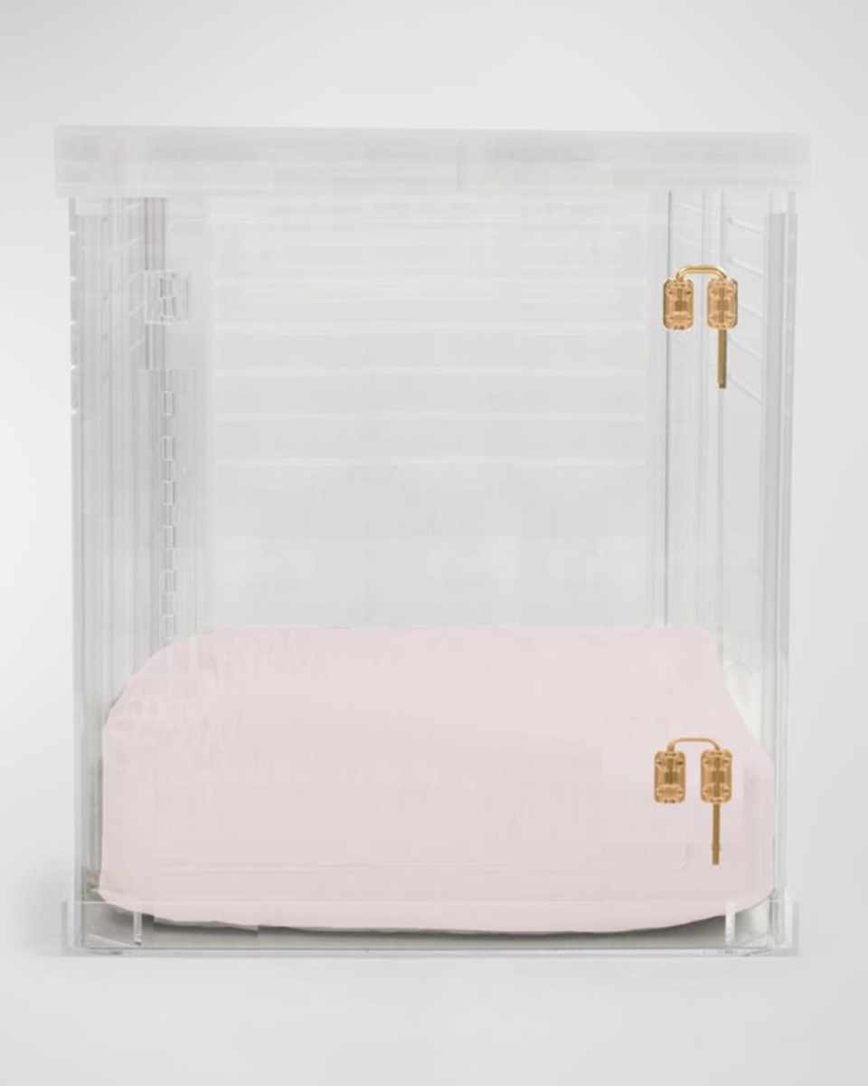 Medium Clear View Pet Crate with Golden Latch