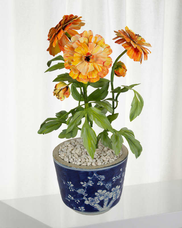 Marigold October Birth Flower in Ceramic Pot