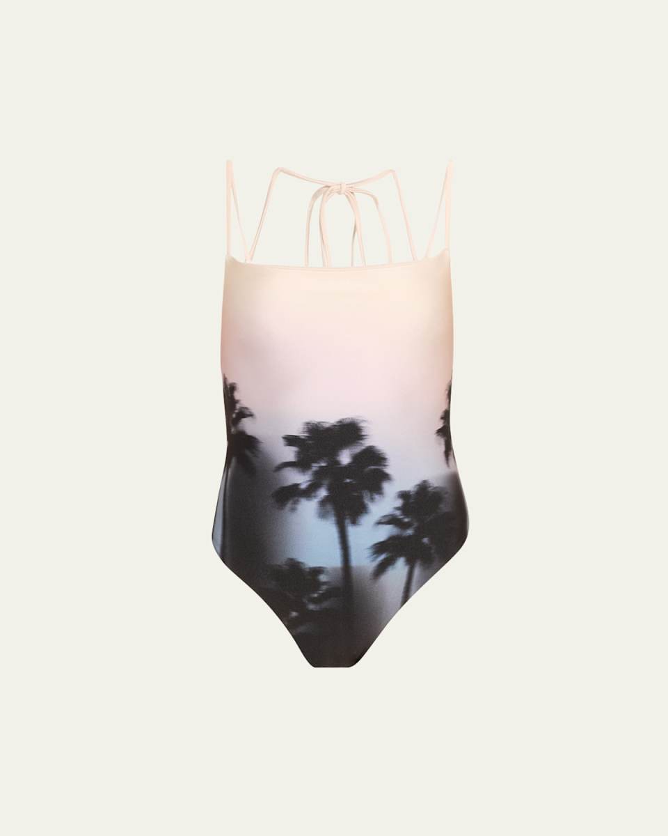 Hazy Palm Elenora One-Piece Swimsuit