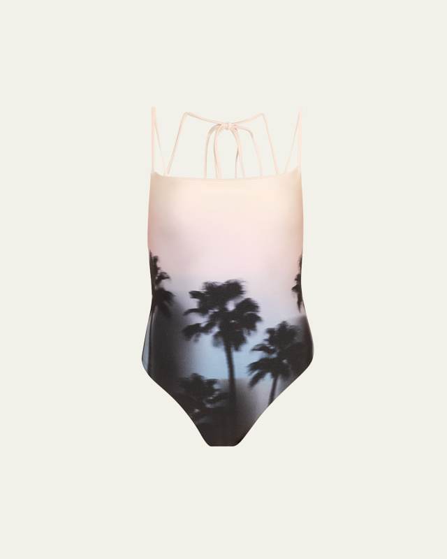 Hazy Palm Elenora One-Piece Swimsuit