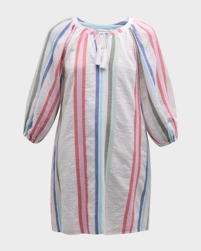 Multi Stripe Dobby Mini Dress