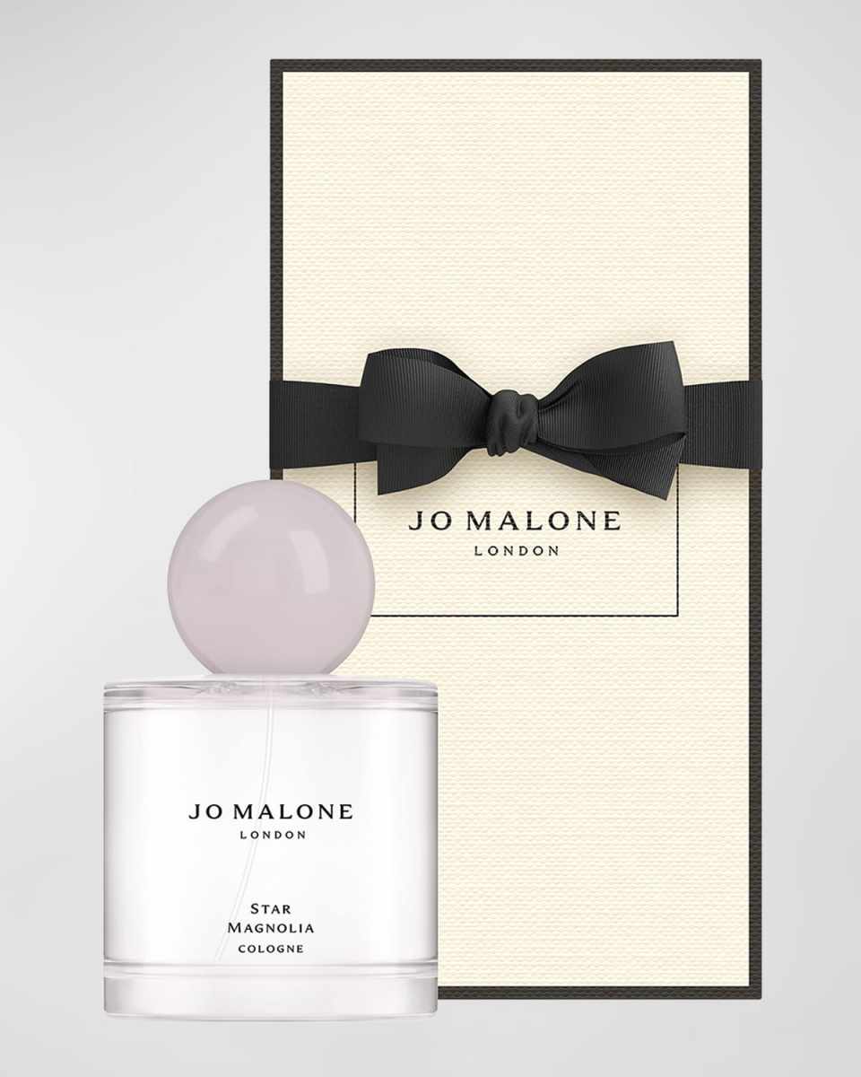 Star Magnolia Cologne,