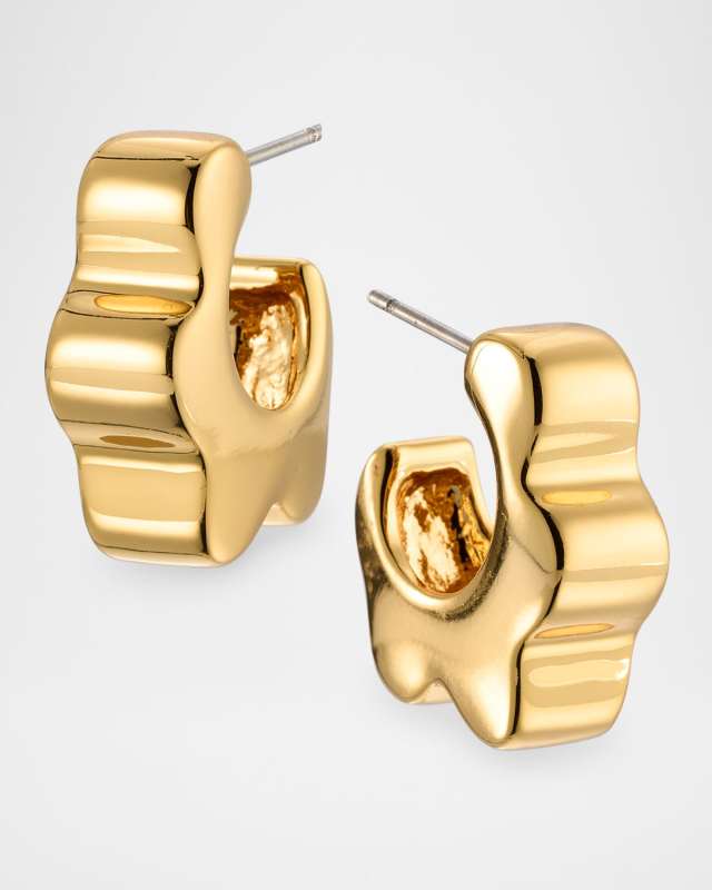 Hudson Hoop Earrings