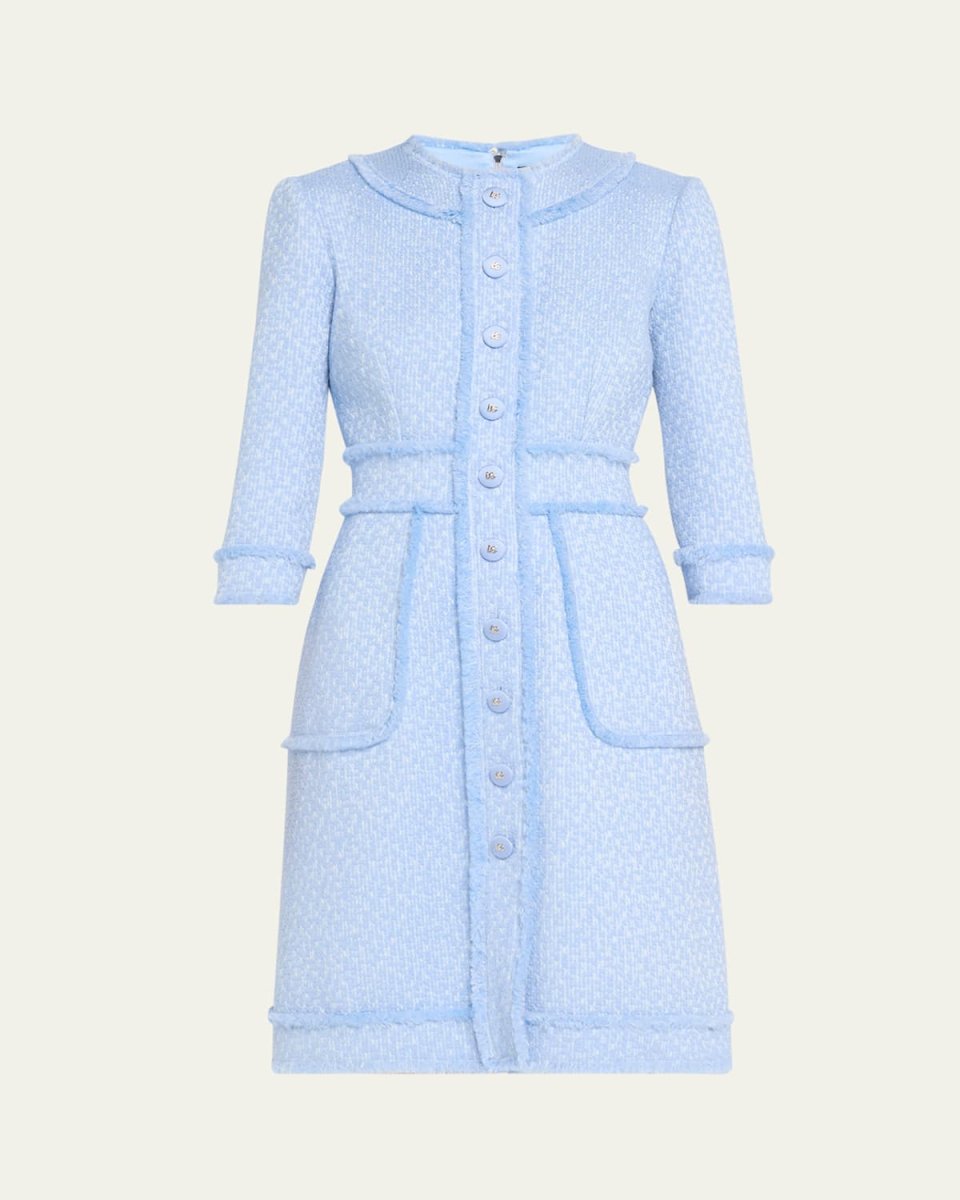 Rachel Tweed Fringe Dress