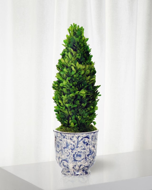 Boxwood Cone Topiary in Cache Pot