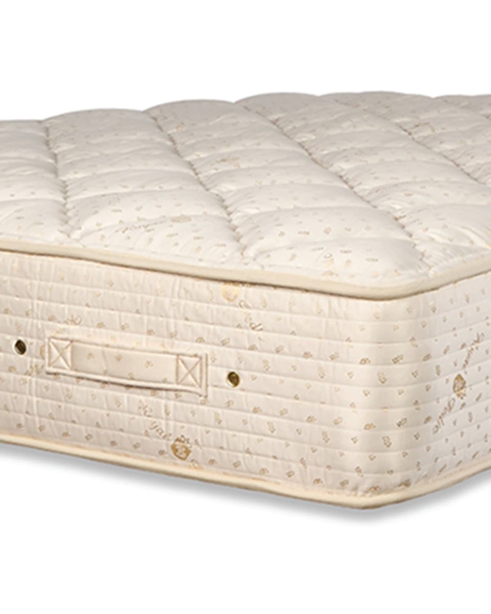 DREAM SPRING CLASSIC - PLUSH