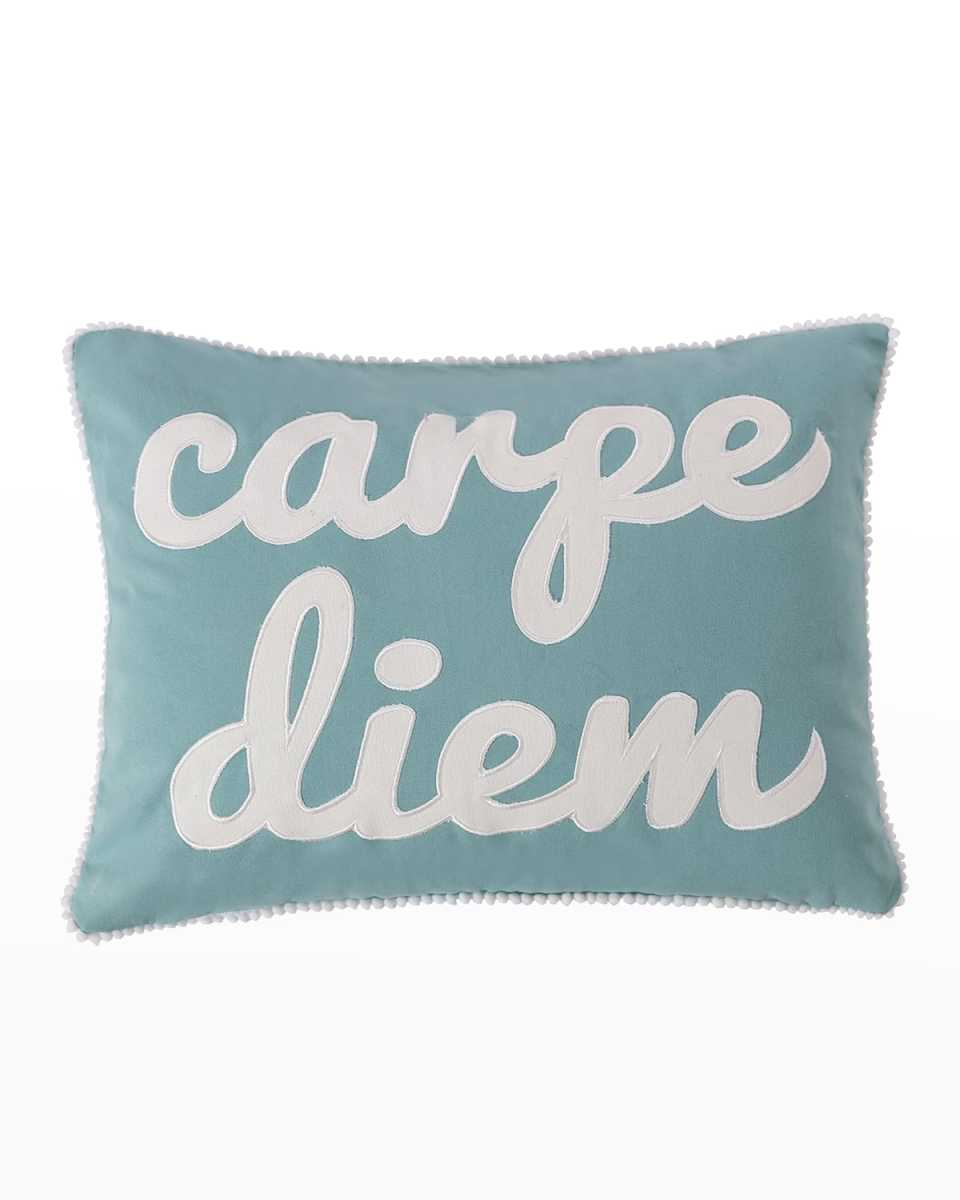 Tania Carpe Diem Pillow - 14" x 18"