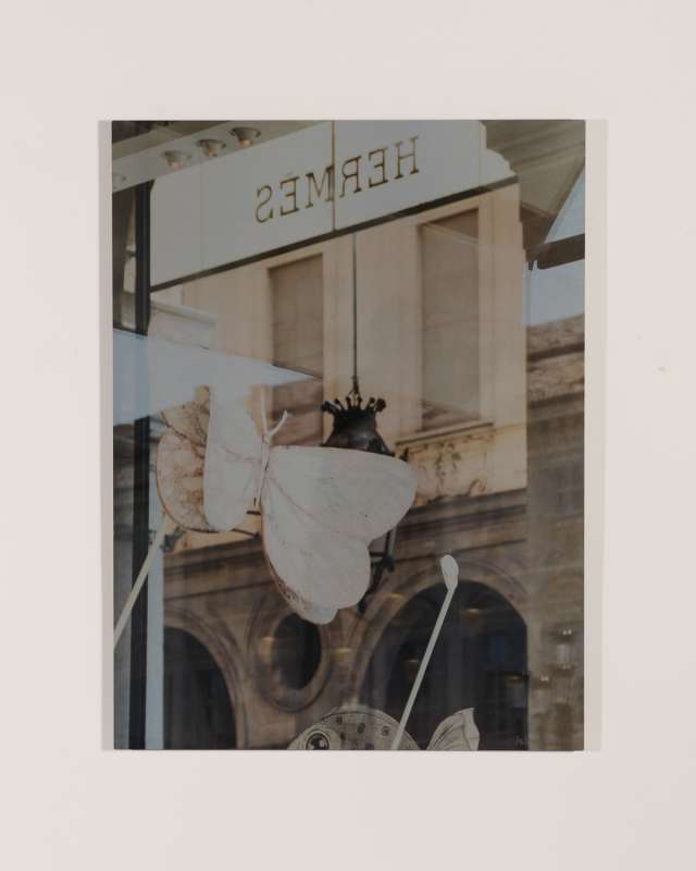 "Turin Hermes I" Print Photography Art by Andrea Hillebrand