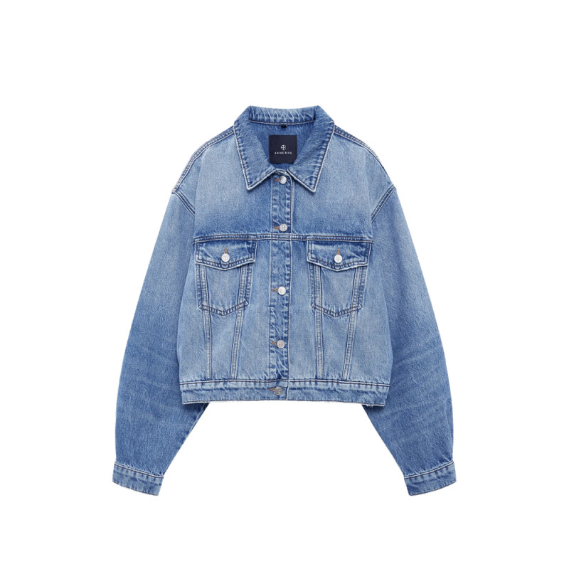 Anine Bing Quincy Buttoned Denim Jacket