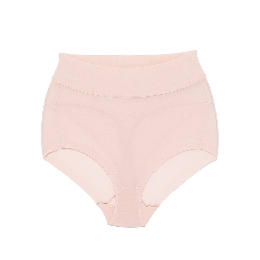 Wolford Semi-sheer Brief