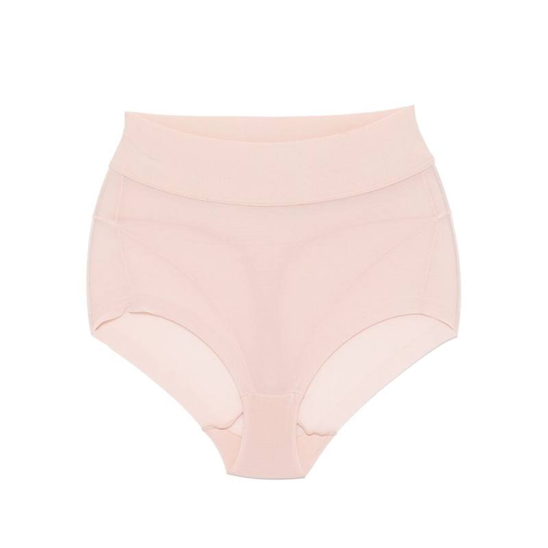 Wolford Semi-sheer Brief