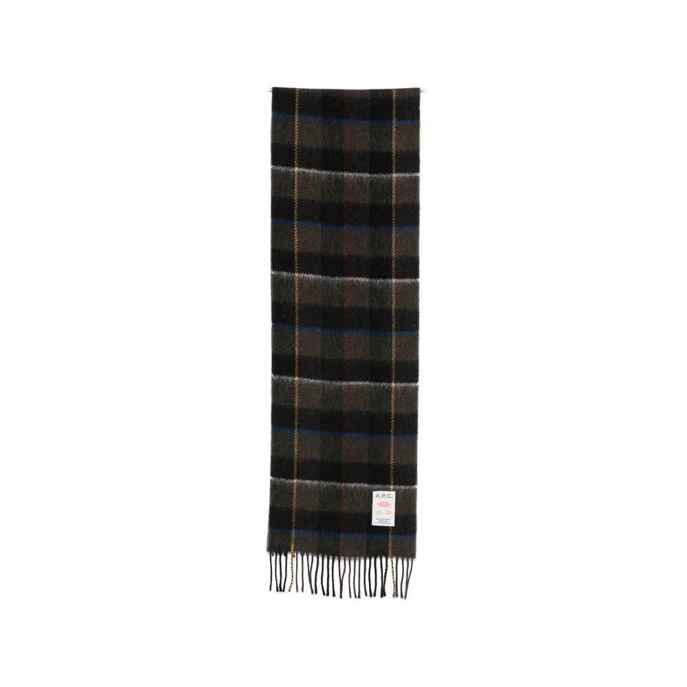 A. p.c. Checked Fringed Scarf