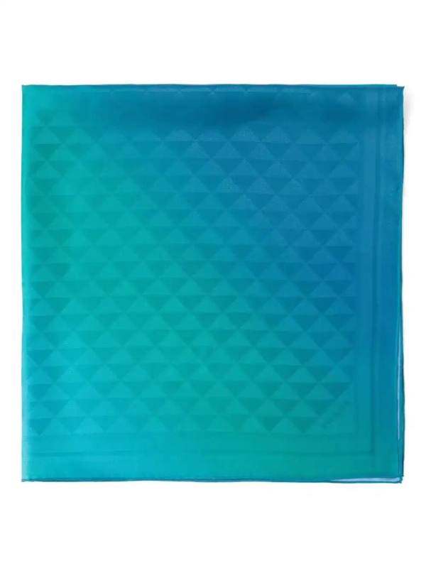 printed silk scarf