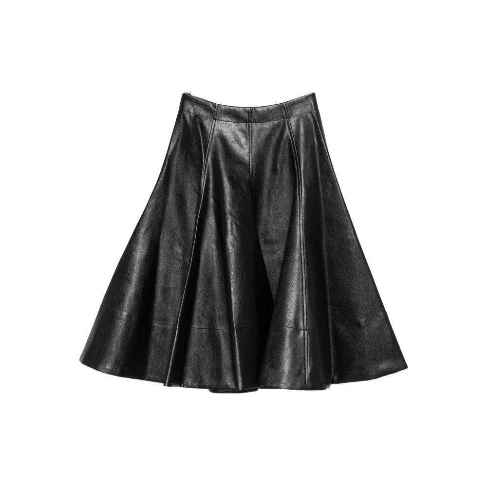 Thelaurent Flared Skirt