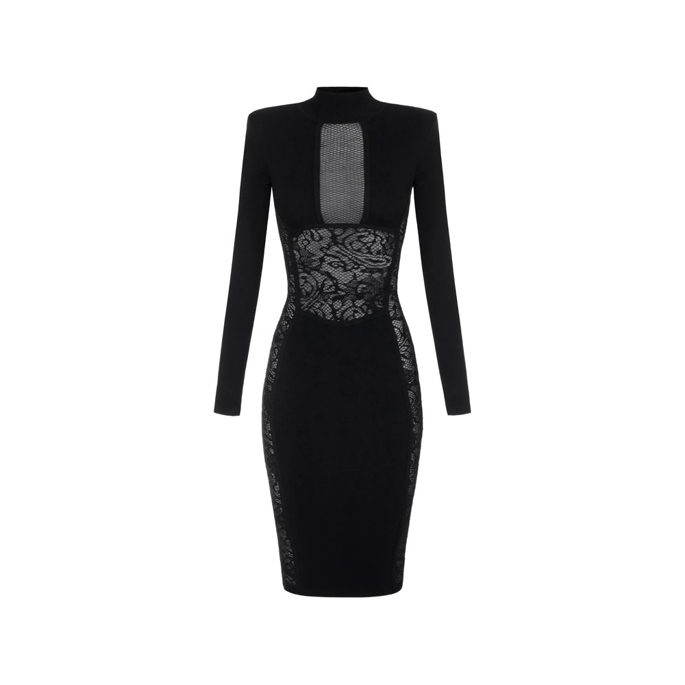 Elisabetta Franchi Lace-panelled Mesh-insert Dress