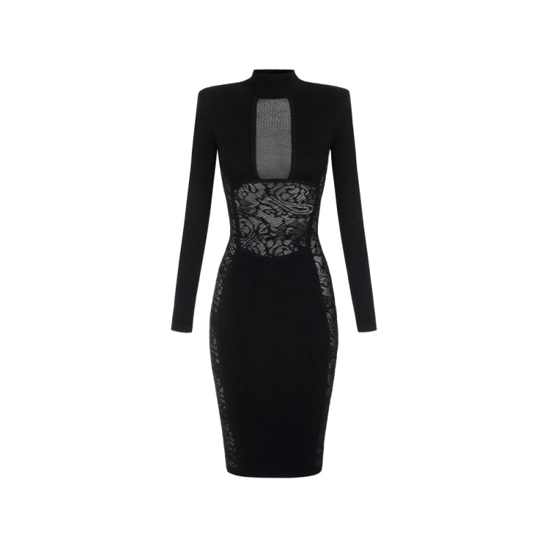 Elisabetta Franchi Lace-panelled Mesh-insert Dress