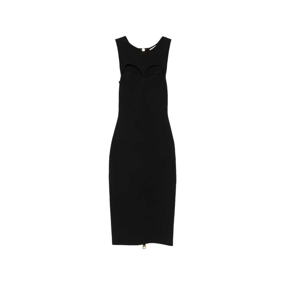 Elisabetta Franchi Cut-out Rear-zip Dress