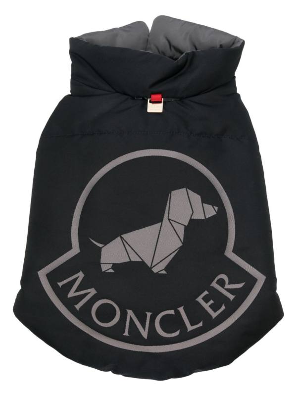 padded dog vest