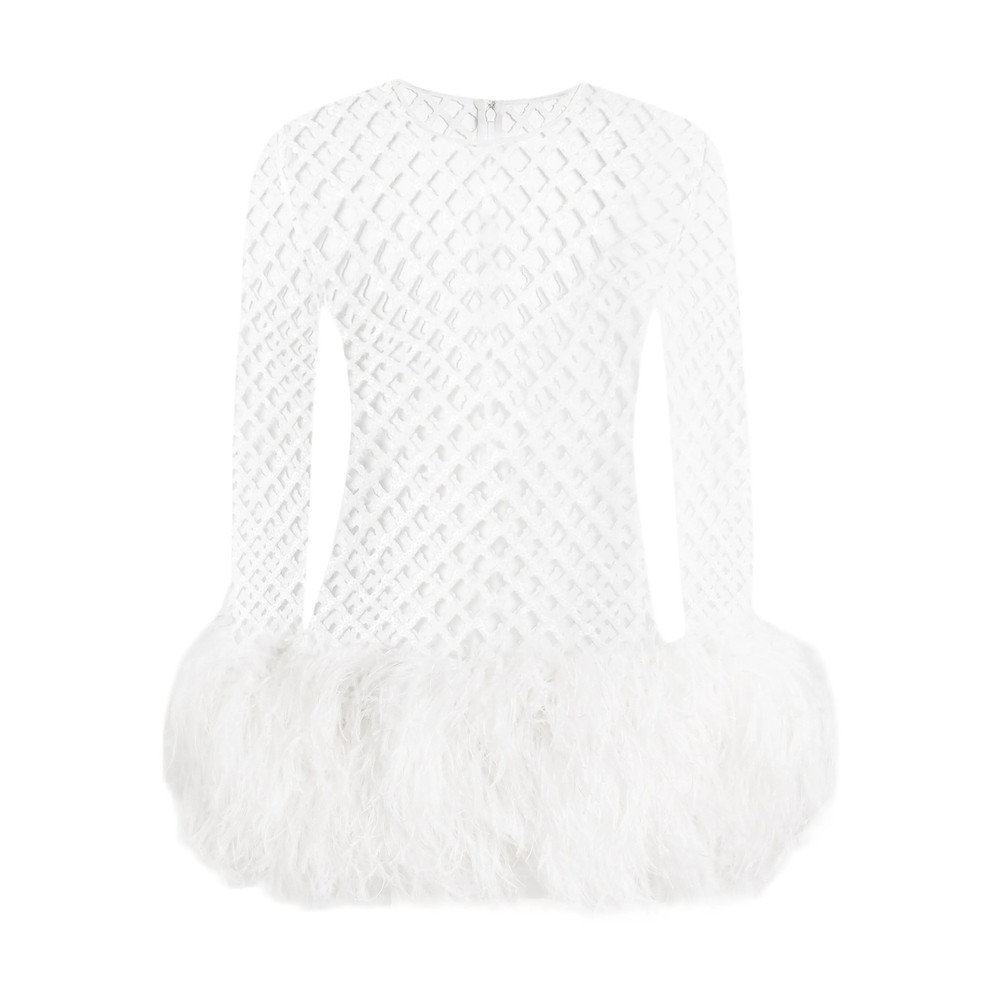 Dolce & Gabbana Mesh Feather-trim Mini Dress