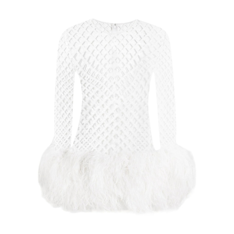 Dolce & Gabbana Mesh Feather-trim Mini Dress