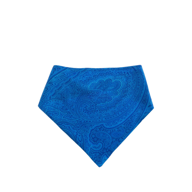 Etro Paisley Button Scarf