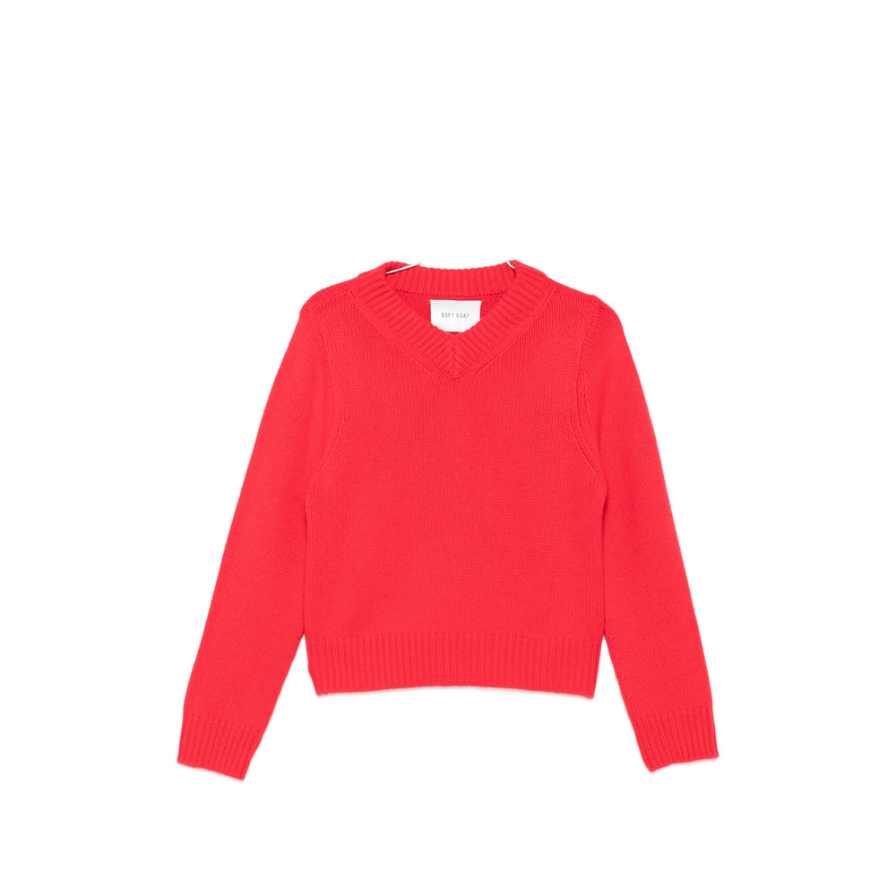 Soft Goat Ribbed V-neck Sweater