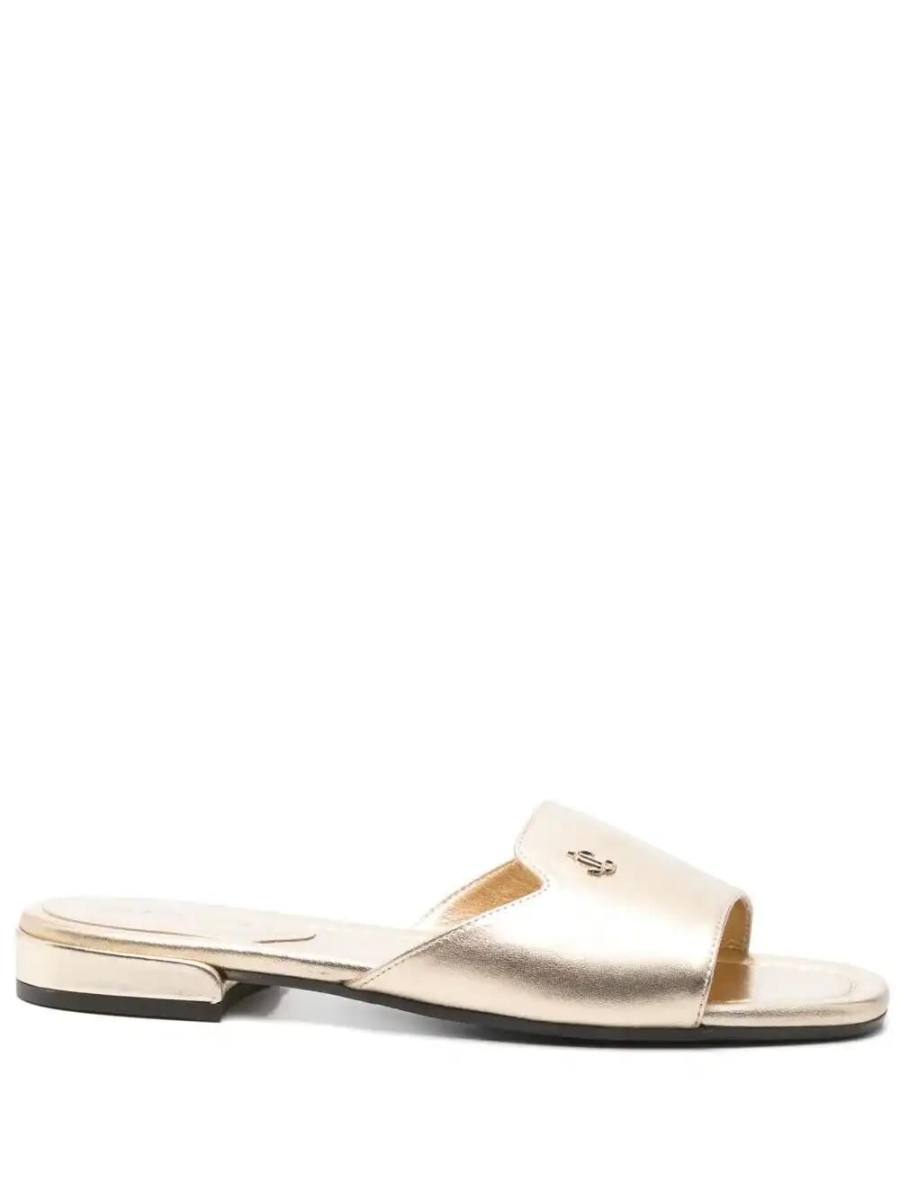 Dina slides