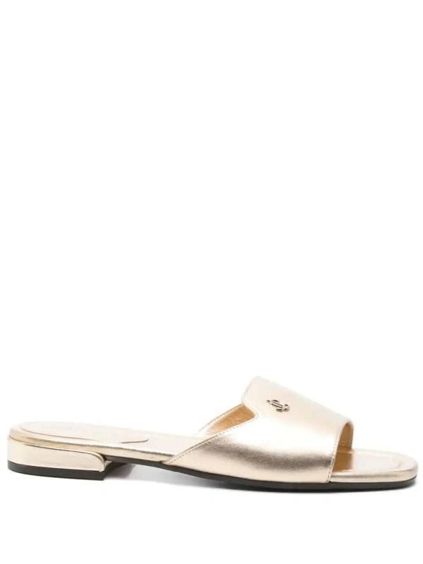 Dina slides