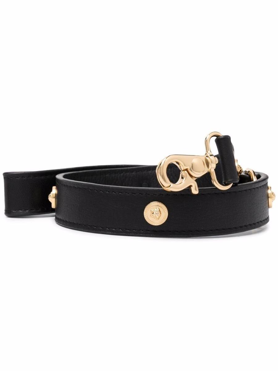 large Icon pet leash