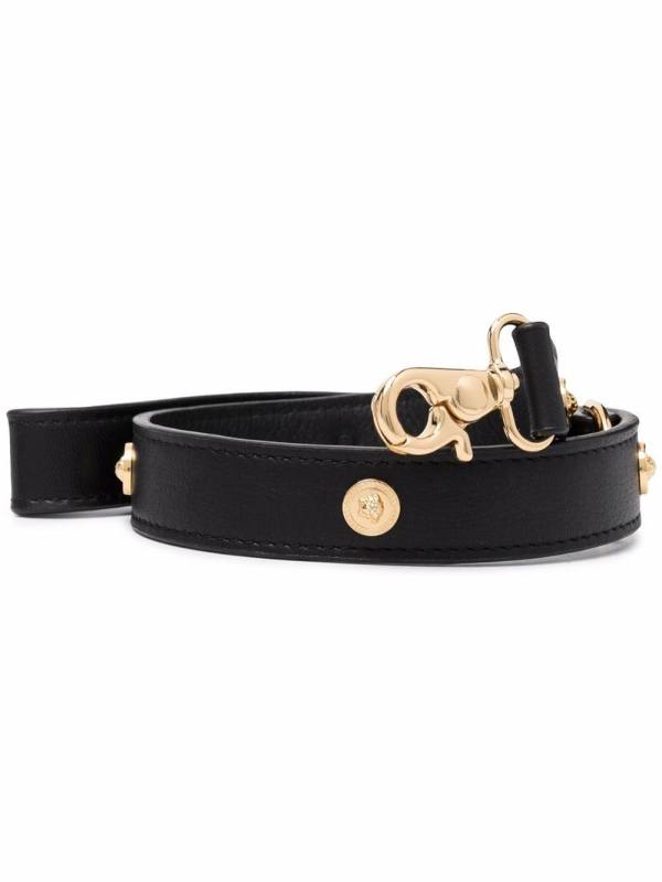 large Icon pet leash