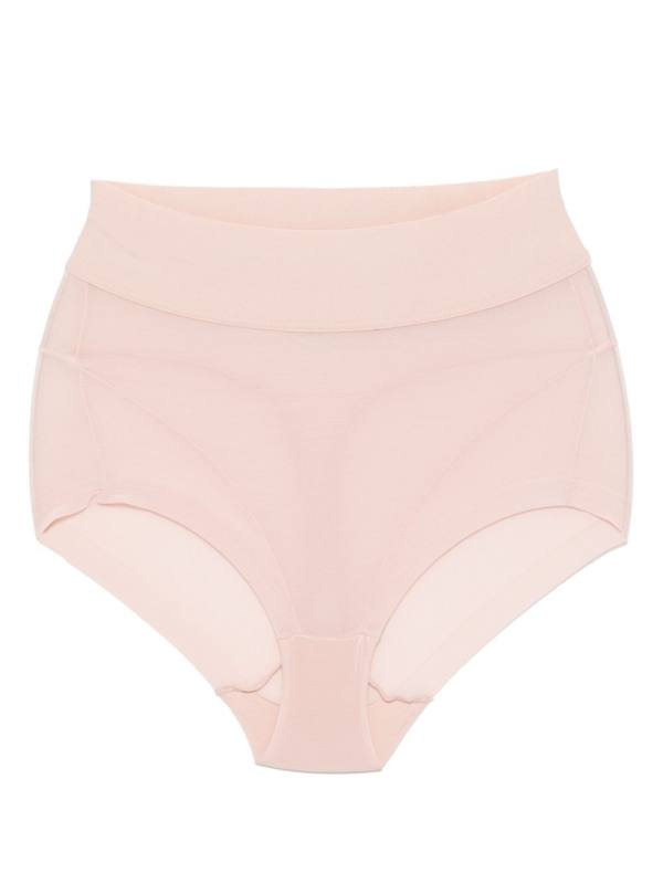 semi-sheer brief