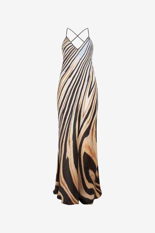Roberto Cavalli Zebra Print Slip Dress